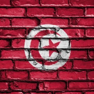 flag, banner, nation, emblem, country, national, patriotic, symbol, patriot, patriotism, wall, tunisia
