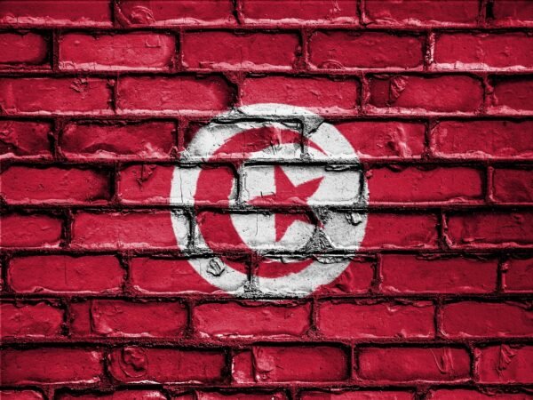 flag, banner, nation, emblem, country, national, patriotic, symbol, patriot, patriotism, wall, tunisia