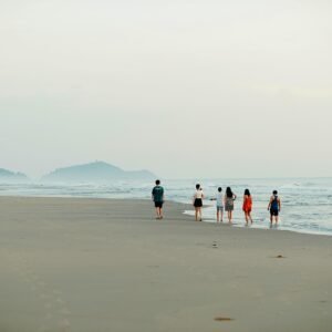 young, sea, friend, outdoors, beach, friends, nature, people