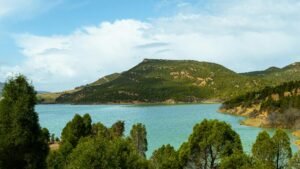 Beautiful landscape of Bou Argoub in Nabeul Governorate, showcasing lush greenery and a serene lake.